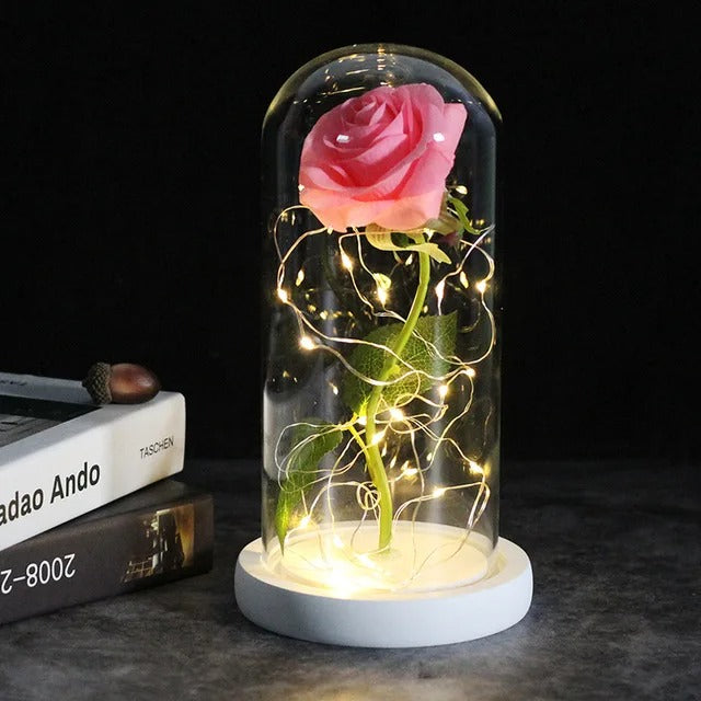 LumiRosa™ Betoverende Roos